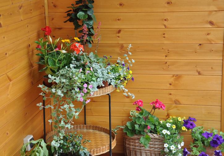 Koliba Nad Bialka Czarna Gora Bed and Breakfast Exteriör bild